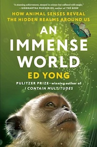 Hardcover cover of An Immense World by Ed Yong, featuring a primate's face and a blue butterfly in front of a green background.