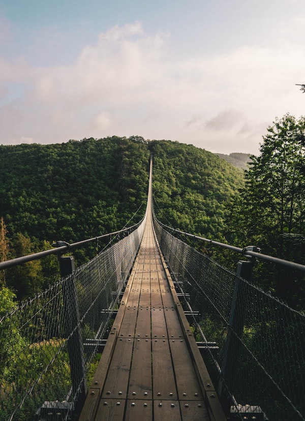Wood and metal suspension bridge across a valley into the treetops. Photo by Sven Huls via Pexels.